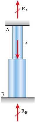  31.8 kN