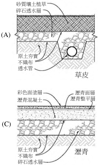  圖 A :草皮