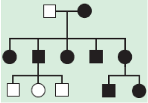 A.Mitochondrial inheritance