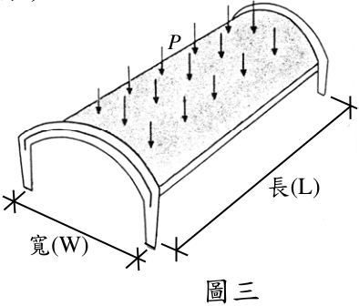 (請接背面)