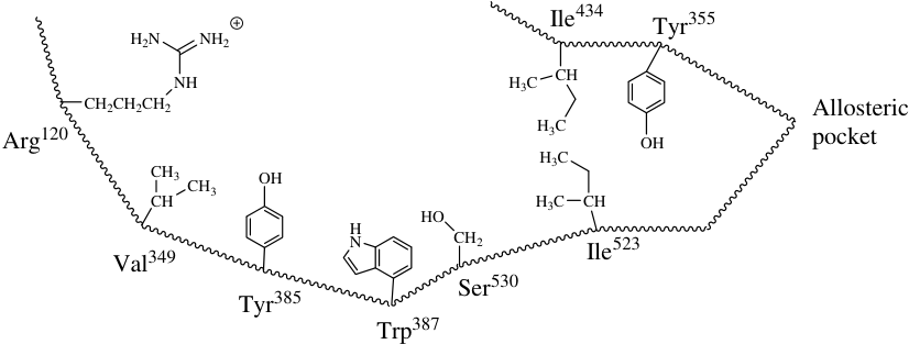 Active site cavity of COX-1
