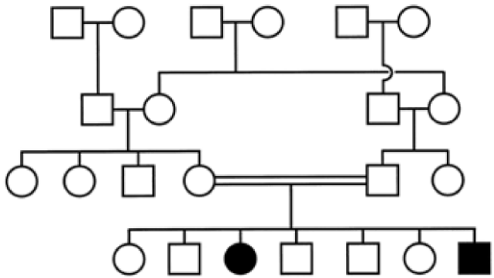 A. 軟骨發育不全( Achondroplasia )