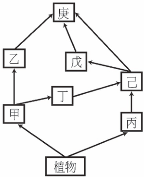 圖三