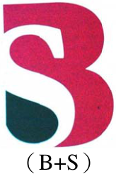 ( B+g ) )