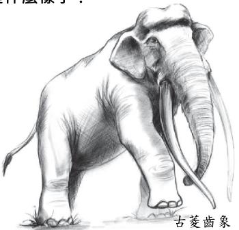 澎湖原人