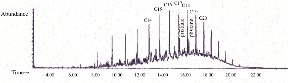 Chromatographic Conditions