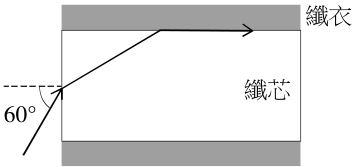 光纖側面透視圖