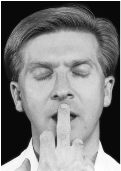  snout reflex