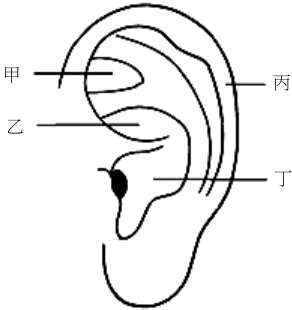  丙