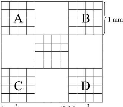  0.1 mm 3