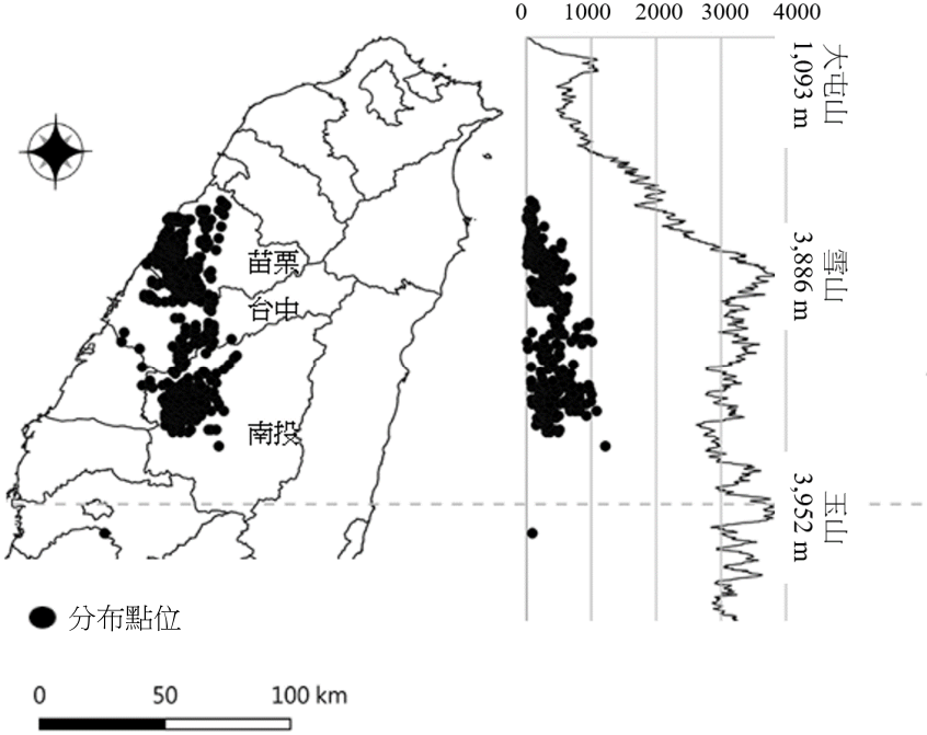2012-2021 年石虎分布紀錄圖