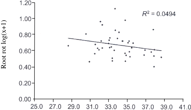 Dry matter content of root %