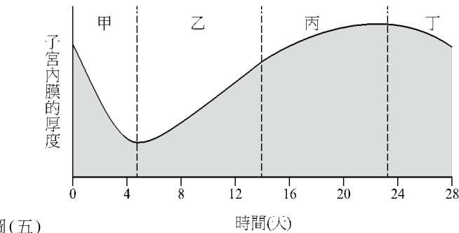 圖 五